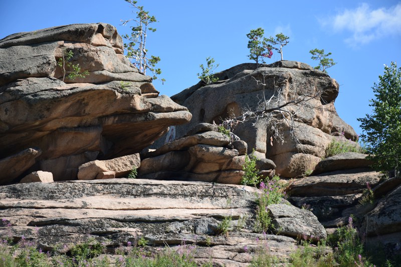 step_05.jpg